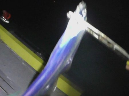 遅い時間から釣行